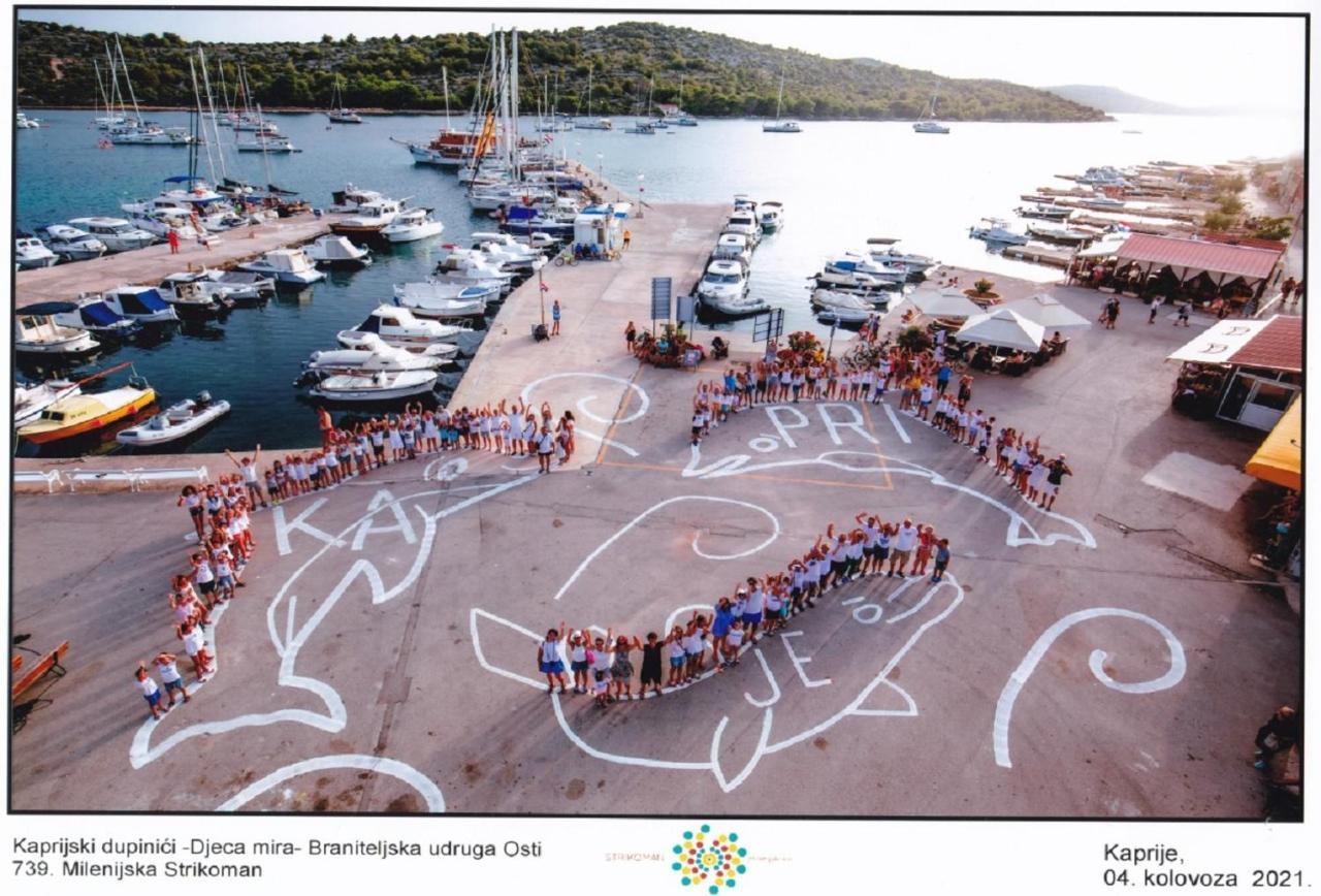 Apartmani Vukovic Kaprije Buitenkant foto